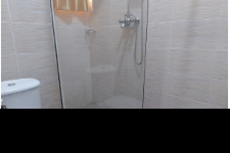 Carlton Apex bathroom